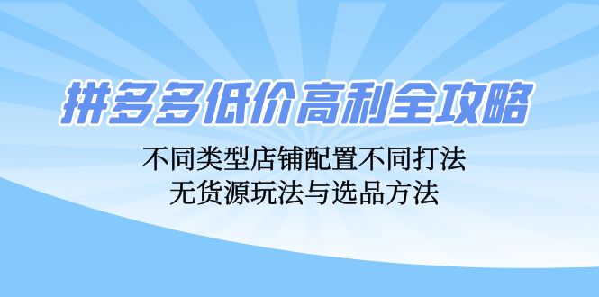 拼多多低价高利全攻略：不同类型店铺配置不同打法，无货源玩法与选品方法网赚-副业-赚钱-培训-引流-建站-课程智慧工坊